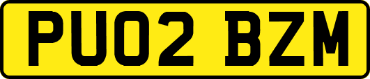 PU02BZM