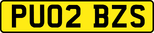PU02BZS