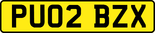 PU02BZX