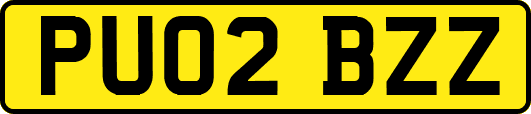 PU02BZZ