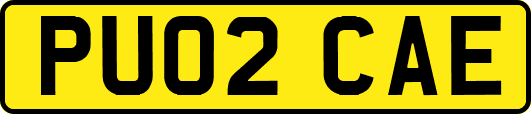 PU02CAE
