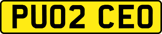 PU02CEO