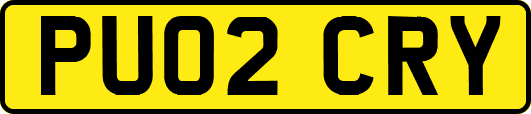 PU02CRY