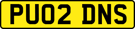PU02DNS
