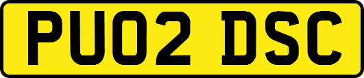 PU02DSC