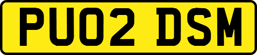 PU02DSM