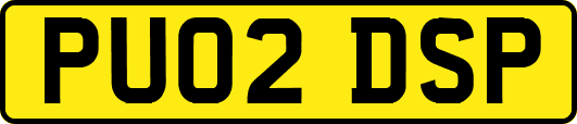 PU02DSP