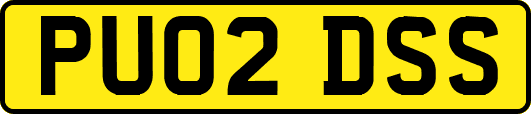 PU02DSS