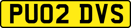 PU02DVS