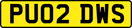 PU02DWS