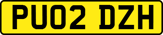 PU02DZH