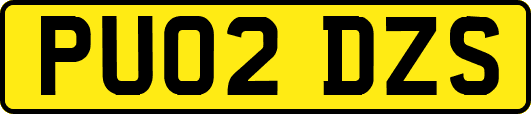 PU02DZS