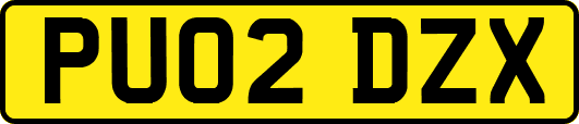 PU02DZX