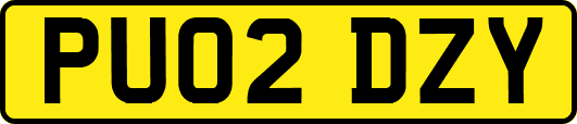 PU02DZY