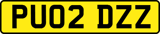 PU02DZZ