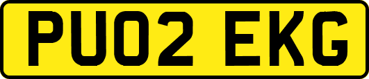 PU02EKG