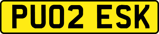 PU02ESK