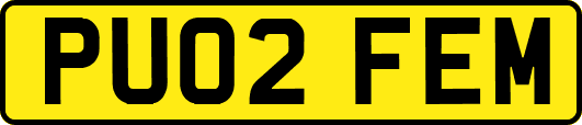 PU02FEM