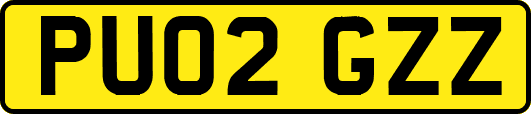 PU02GZZ