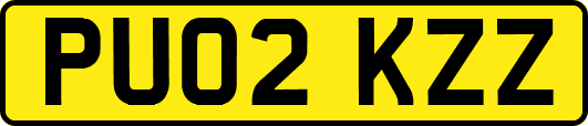 PU02KZZ
