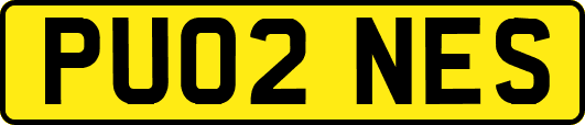 PU02NES