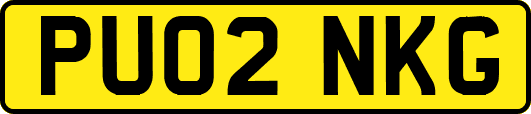 PU02NKG