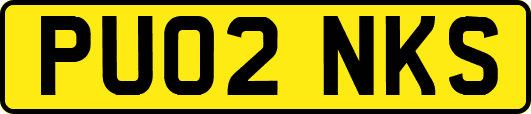 PU02NKS