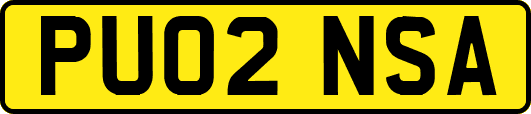 PU02NSA