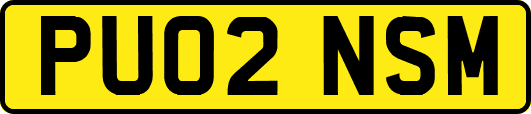 PU02NSM
