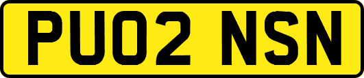 PU02NSN