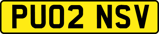 PU02NSV