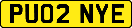 PU02NYE