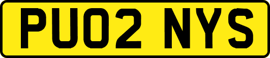 PU02NYS