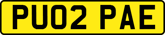 PU02PAE
