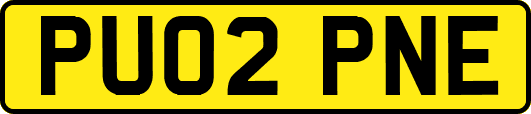 PU02PNE