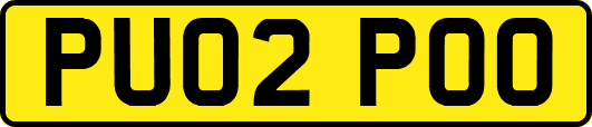 PU02POO