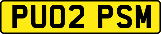PU02PSM