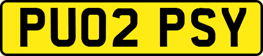 PU02PSY