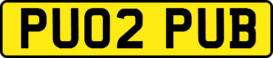 PU02PUB