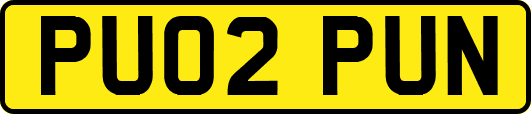 PU02PUN