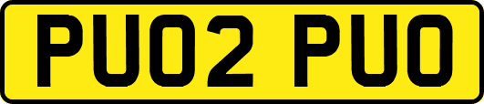 PU02PUO
