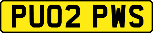 PU02PWS