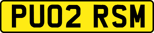 PU02RSM