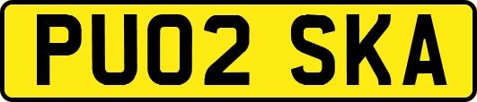 PU02SKA