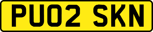 PU02SKN