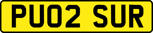 PU02SUR