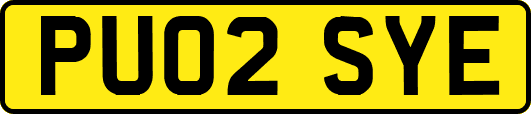 PU02SYE