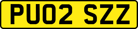 PU02SZZ