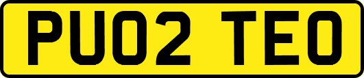 PU02TEO