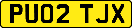 PU02TJX